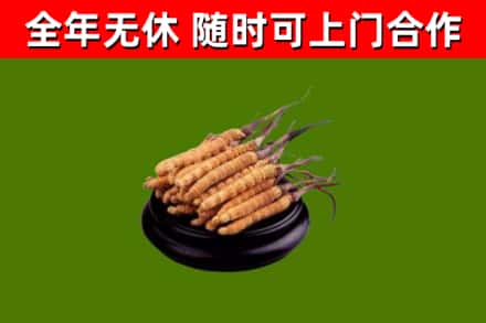 元氏烟酒回收冬虫夏草.jpg
