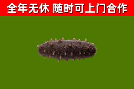 元氏烟酒回收干海参.jpg